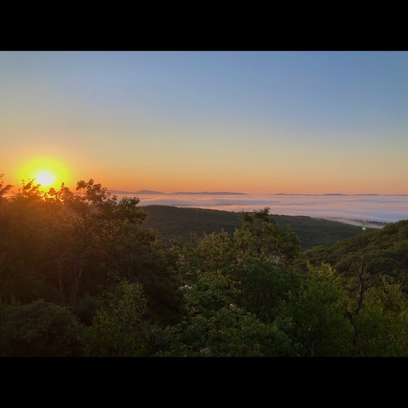 Meet your Posher, Aurora - Picture 1 of 1